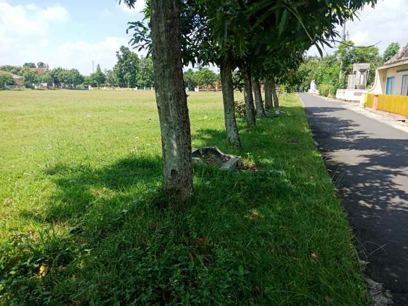 tanah karangpelem kedawung sragen