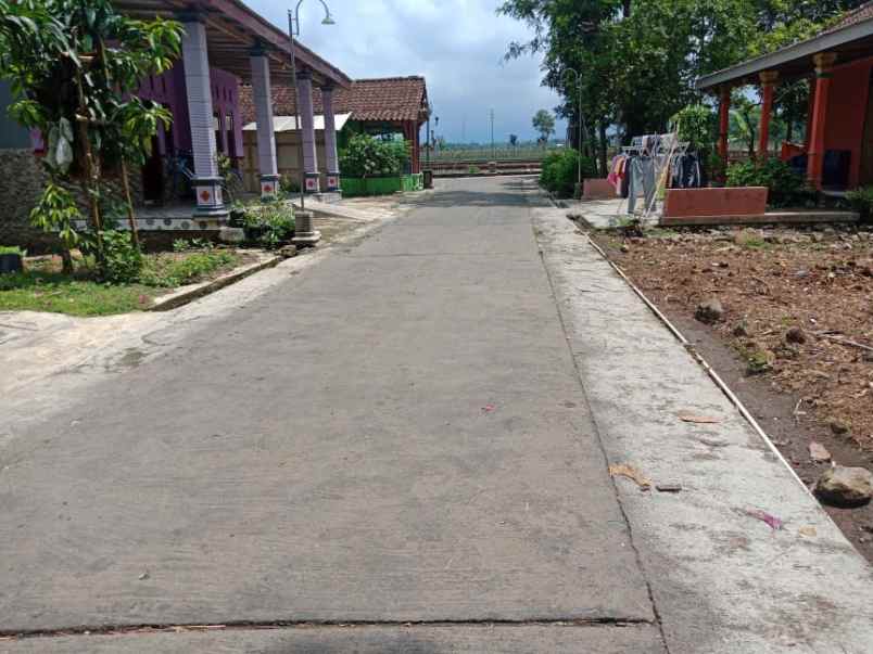 tanah karangpelem kedawung sragen