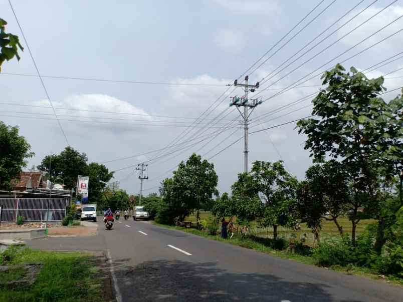 tanah karangpelem kedawung sragen