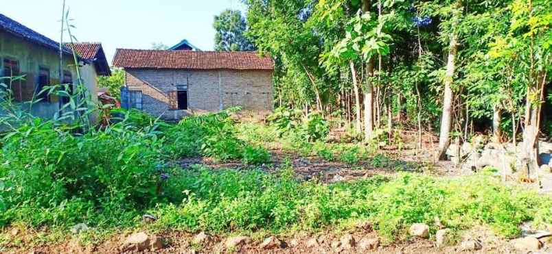 tanah karangpelem kedawung sragen