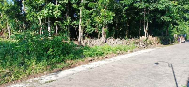 tanah karangpelem kedawung sragen