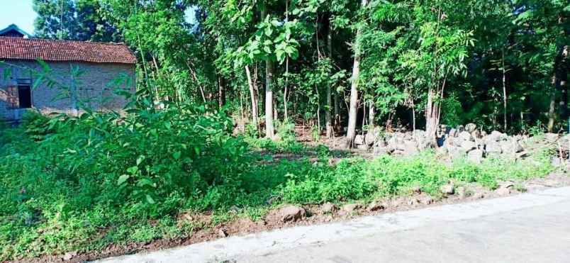 tanah karangpelem kedawung sragen