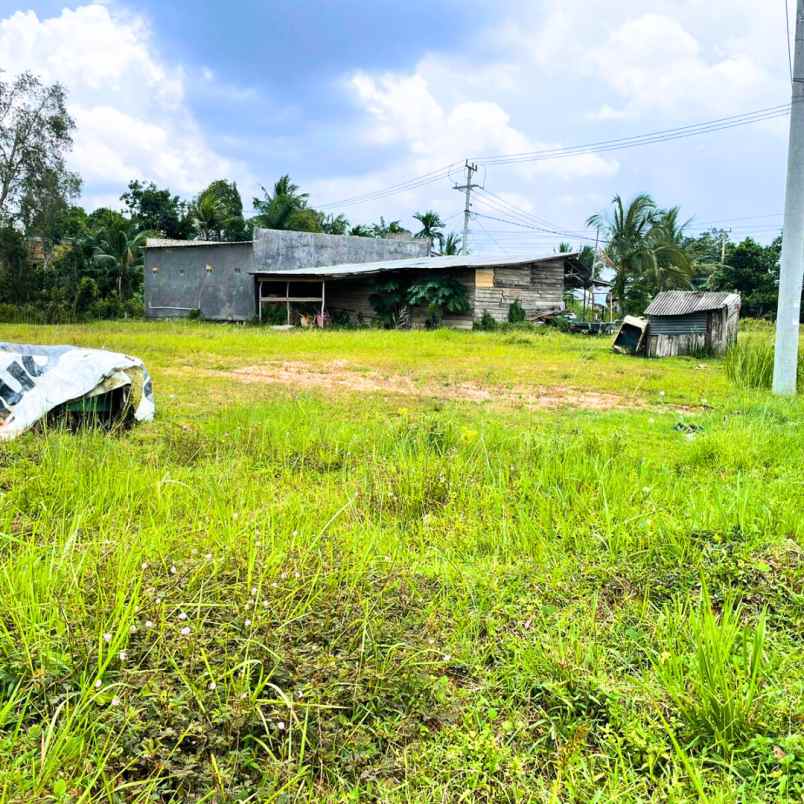 tanah kavling murah luas 135 m tanjung barangan