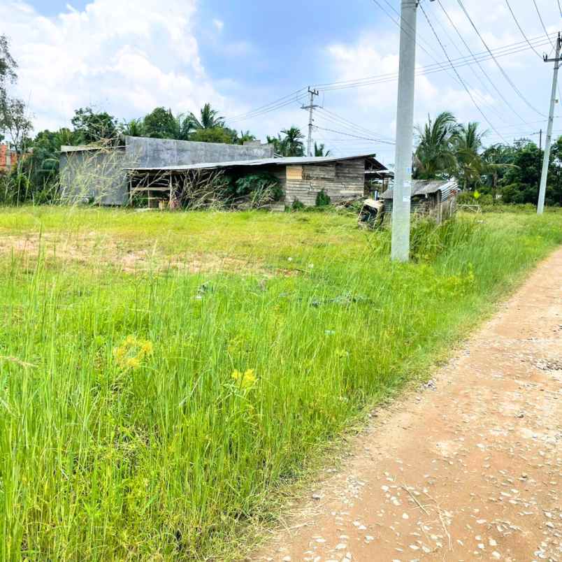 tanah kavling murah luas 135 m tanjung barangan