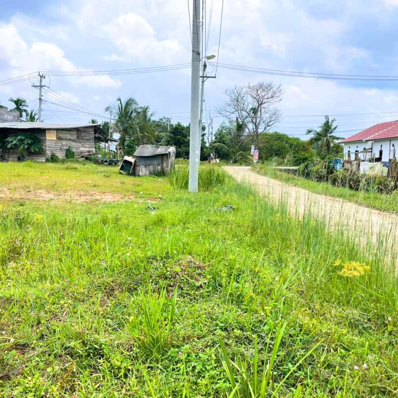 tanah kavling murah luas 135 m tanjung barangan
