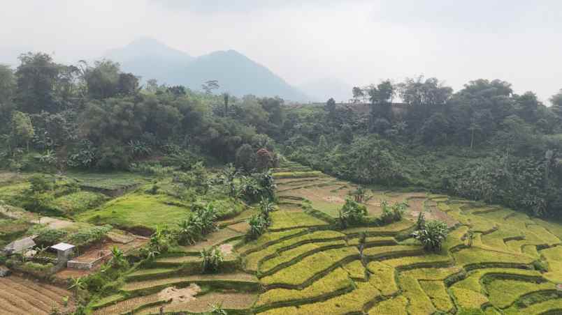 tanah kavling sukamakmur puncak dua