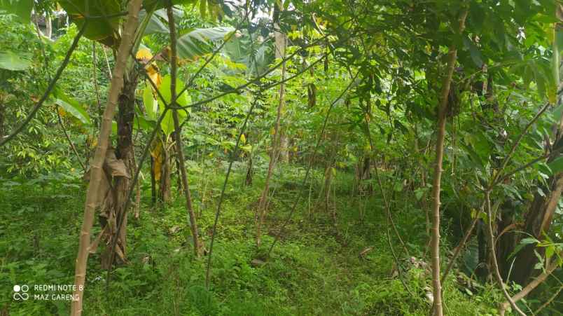 tanah kawasan wisata ngargoyoso