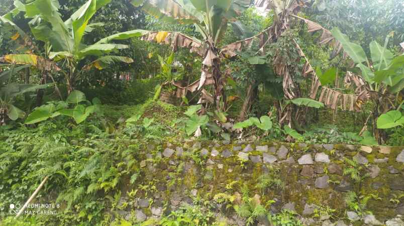 tanah kawasan wisata ngargoyoso