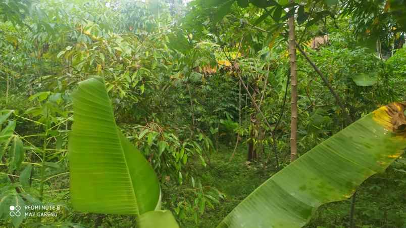 tanah kawasan wisata ngargoyoso