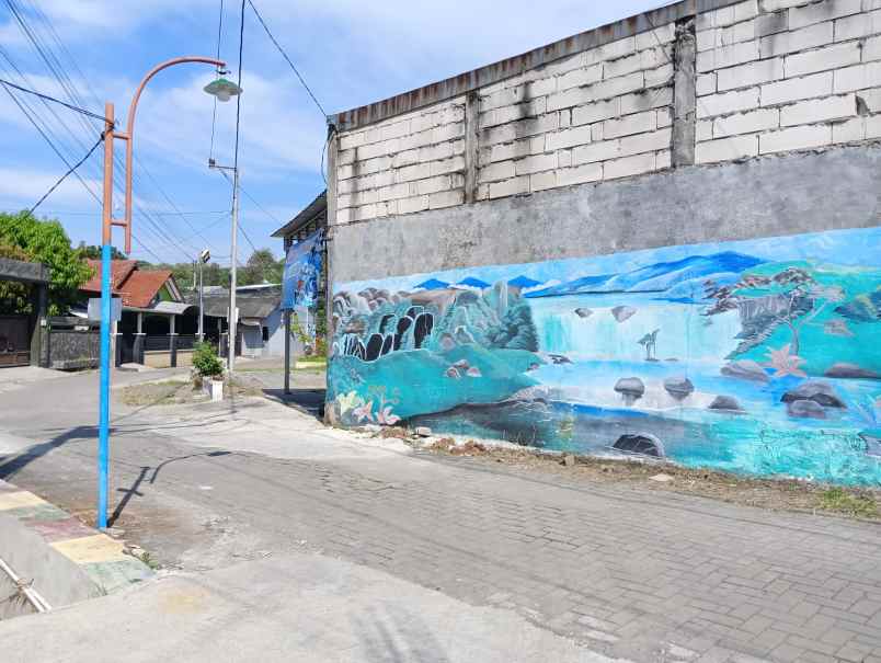 tanah kedungmundu raya cocok untuk segala macam usaha