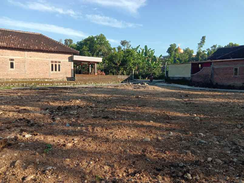 tanah kemasan polokarto