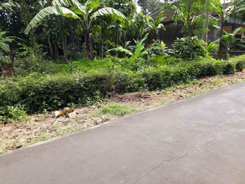 tanah kerjo karanganyar