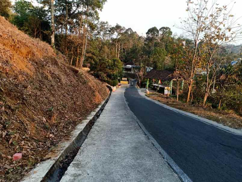 tanah kerjo karanganyar