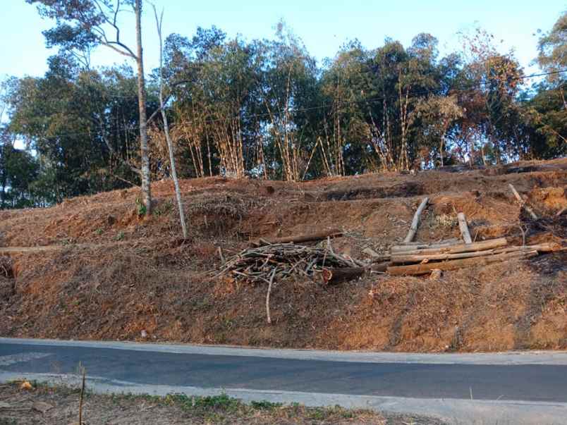 tanah kerjo karanganyar