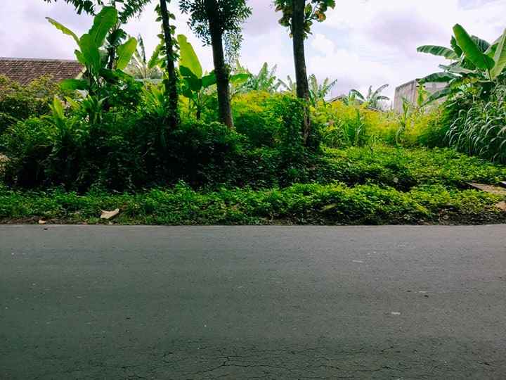 tanah kerjo karanganyar