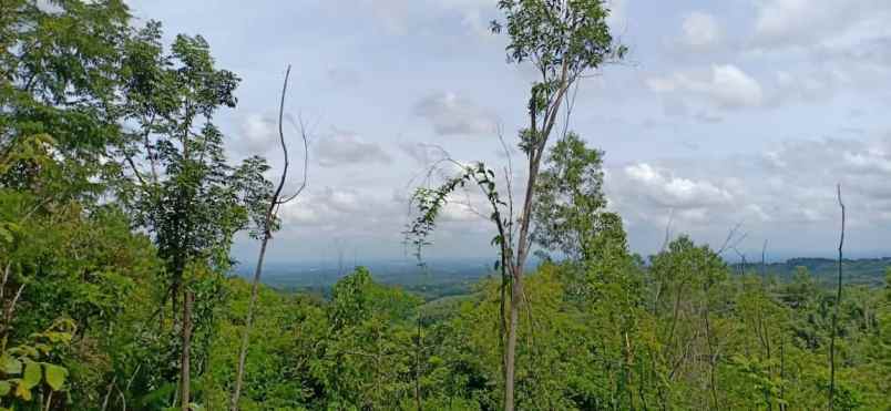 tanah kerjo karanganyar