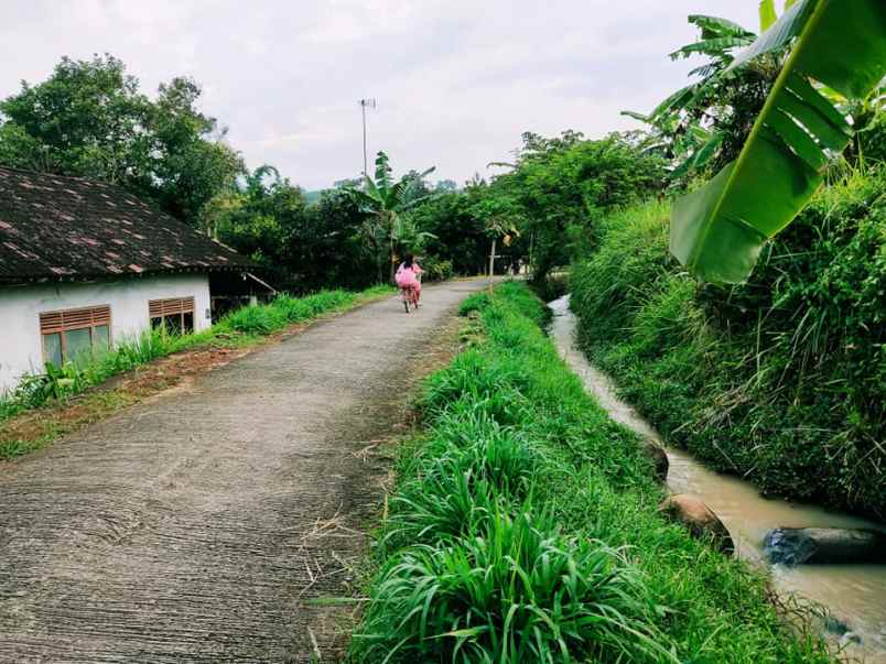 tanah kerjo karanganyar