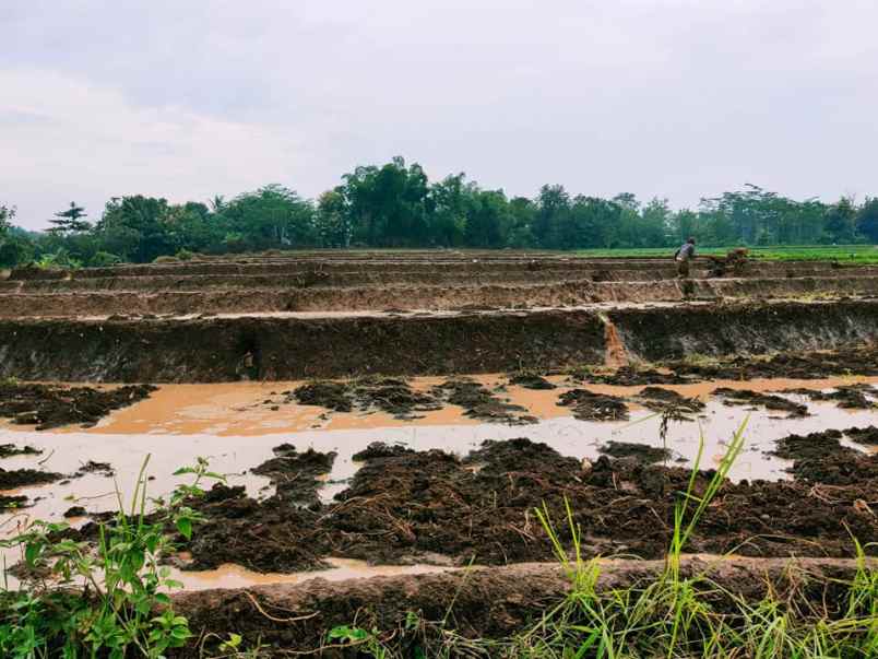 tanah kerjo karanganyar