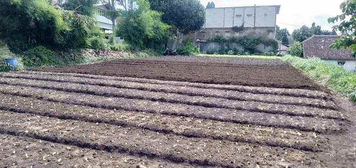 tanah kolonel masturi