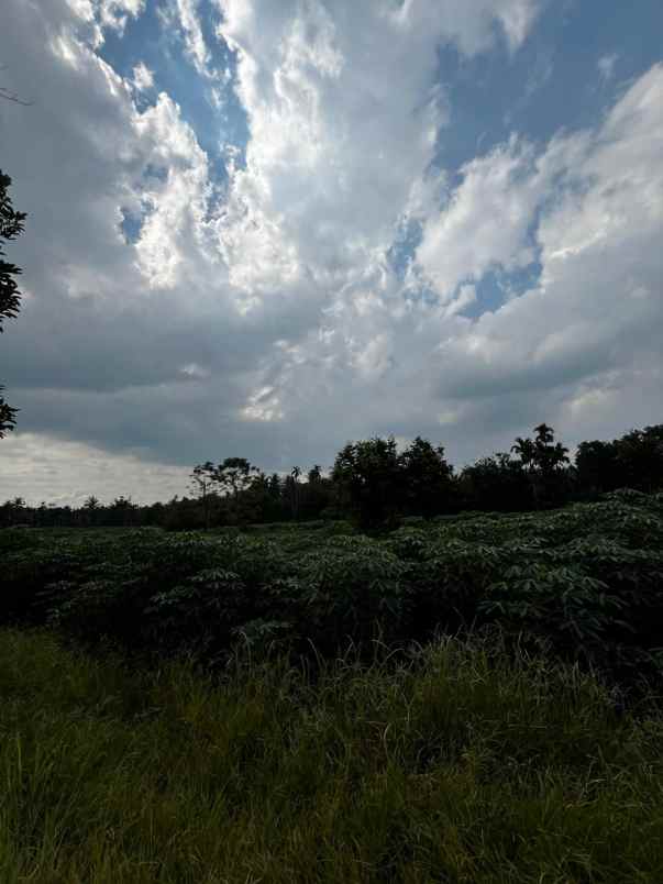 tanah ladang di pancur batu deli serdang