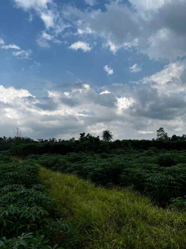 tanah ladang di pancur batu deli serdang