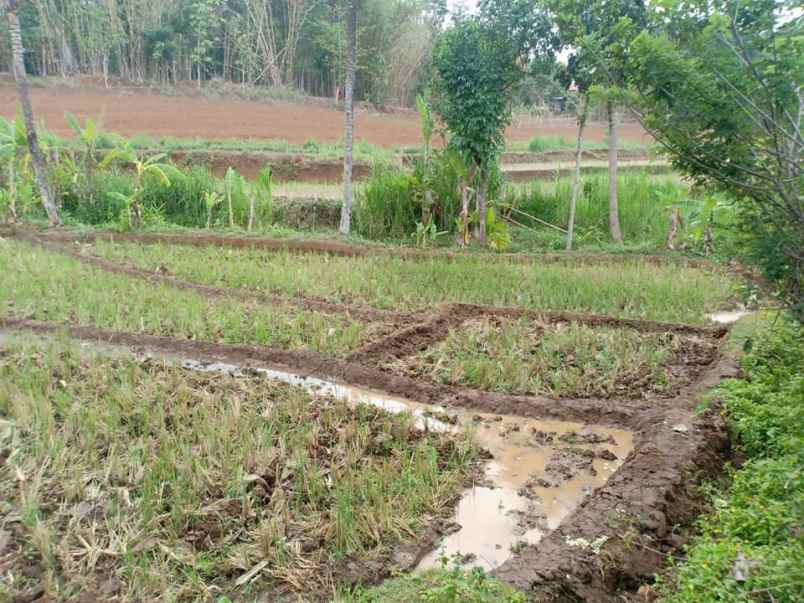 tanah mojogedang karanganyar