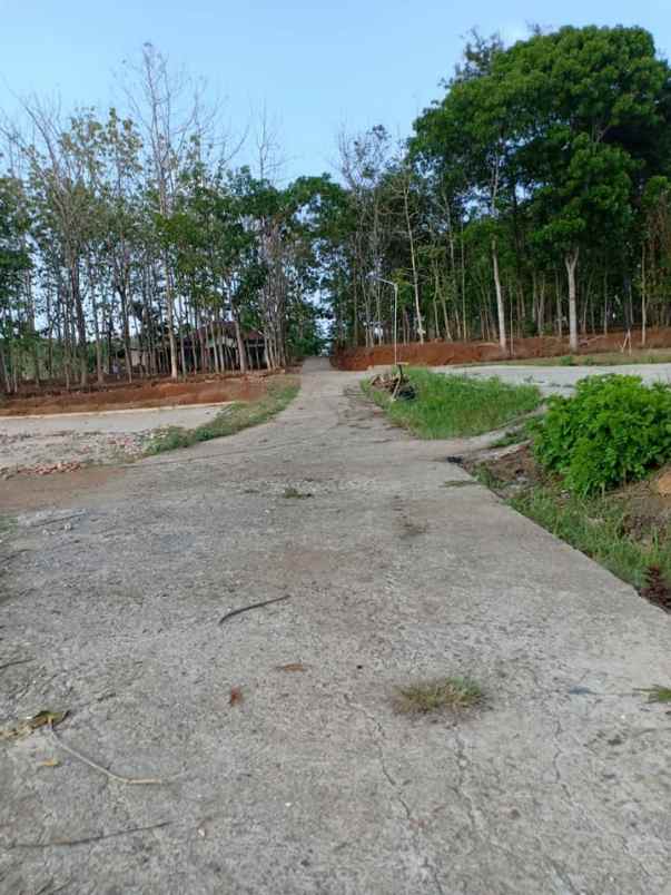 tanah mojogedang karanganyar