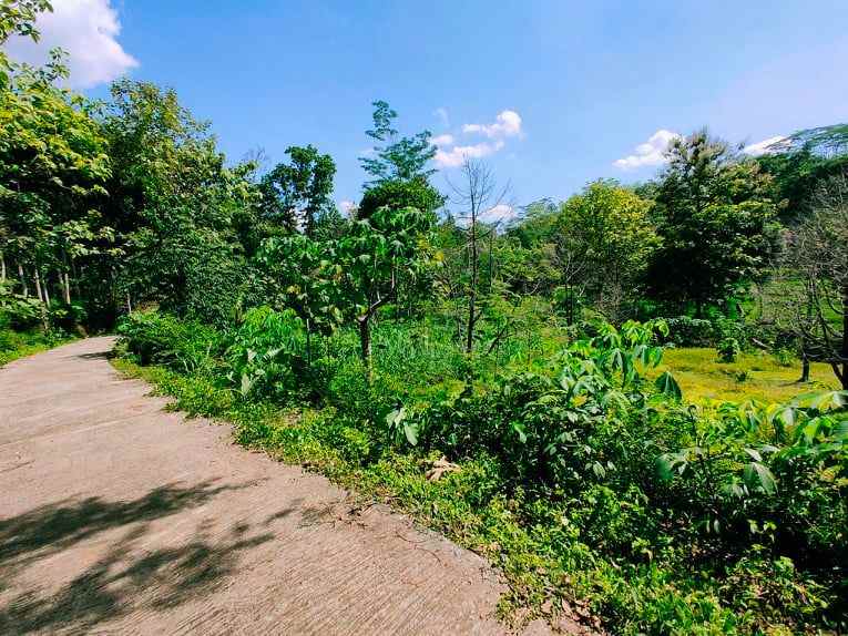 tanah mojogedang karanganyar