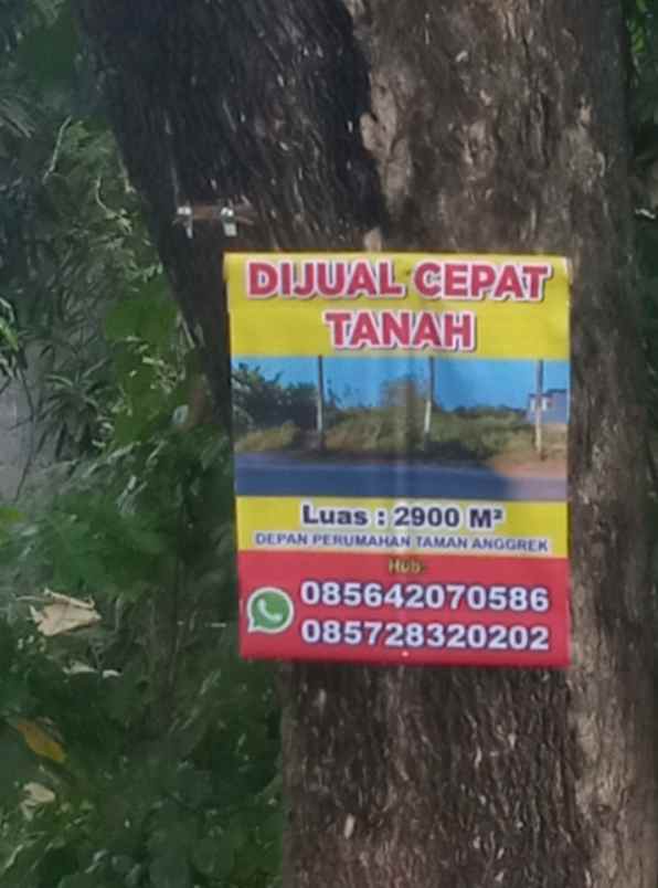tanah murah banting harga