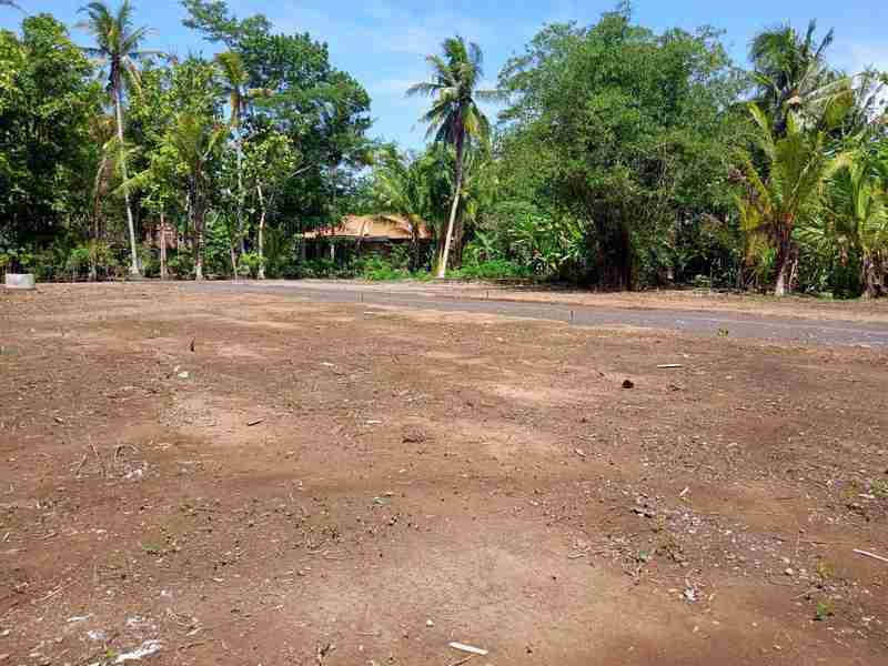 tanah murah jogja 100 jutaan