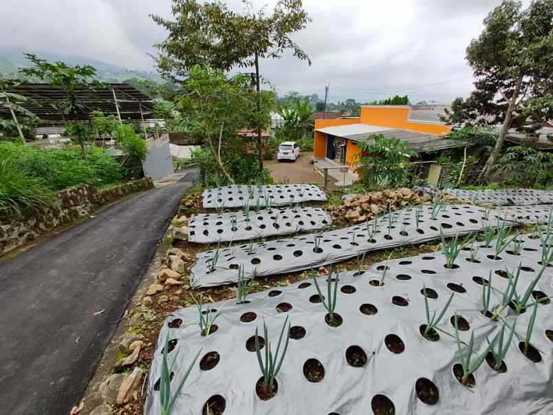 tanah ngargoyoso karanganyar