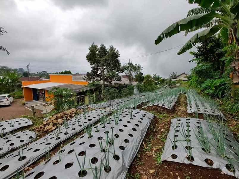 tanah ngargoyoso karanganyar