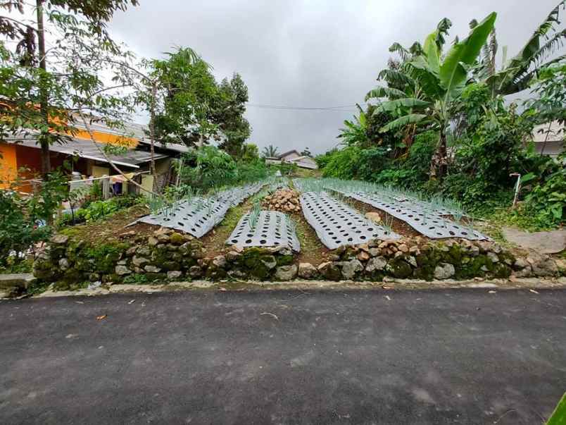 tanah ngargoyoso karanganyar