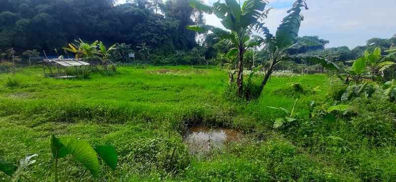 tanah residensial sayap sersan bajuri bandung