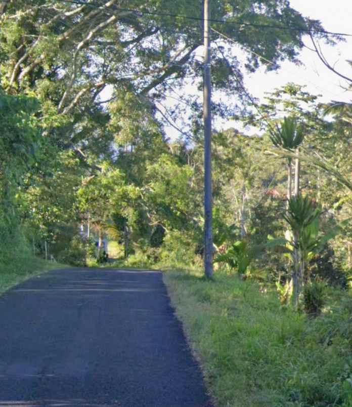 tanah sawah zona hijau di canggu babakan bali