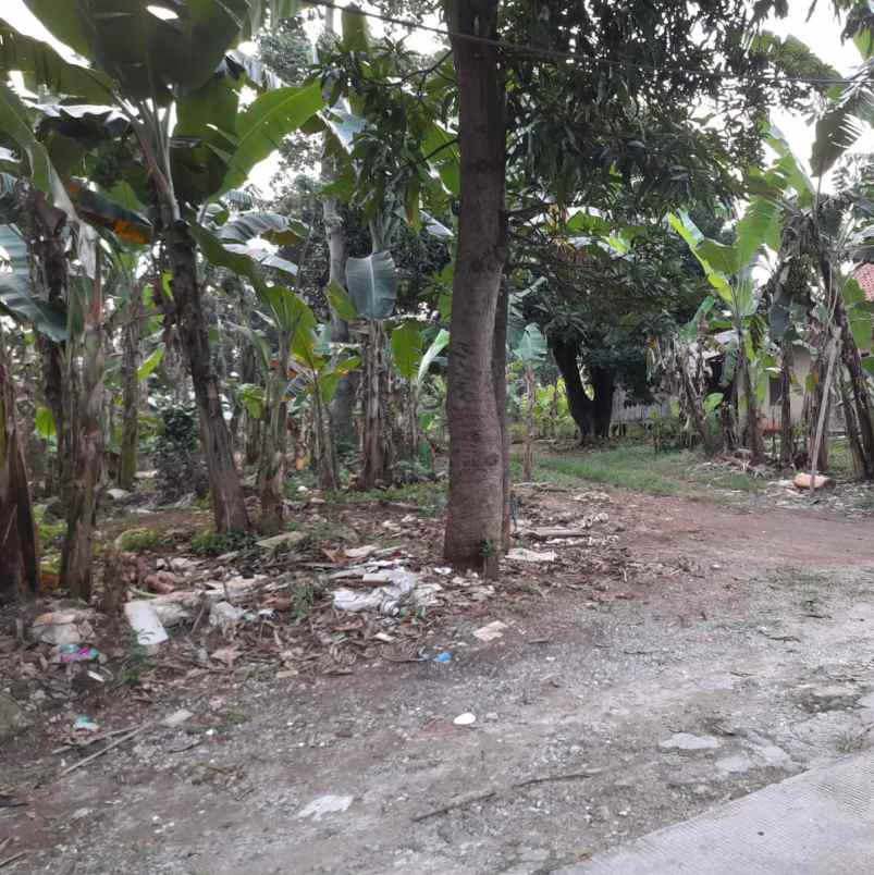 tanah siap bangun selangkah ke gerbang toll jatiasih