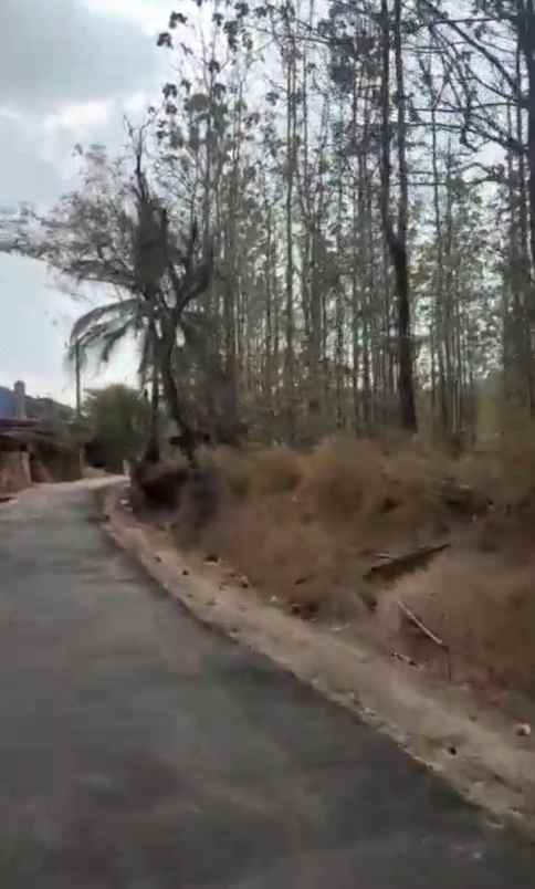 tanah termurah sukabumi full shm 70 hektar