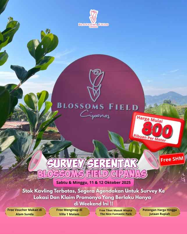 tanah undangan survey di sukaresmi cianjur