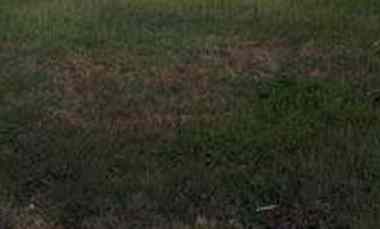 3 Kavling Jd 1 Kavling Wisma Tirto Nego Kerasssss