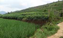 Tanah Dijual di cicalengka,  rancaekek,  jatinangor