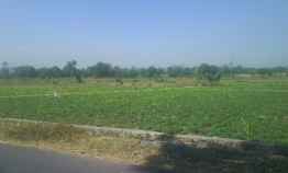 Tanah Sawah 200ha di Kebonsari Sukorejo 1.5 km dari Jln Lintas Kab Pasuruan