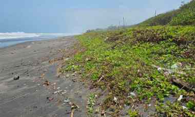 Tanah Dijual di Yeh Gangga, Tabanan, Bali