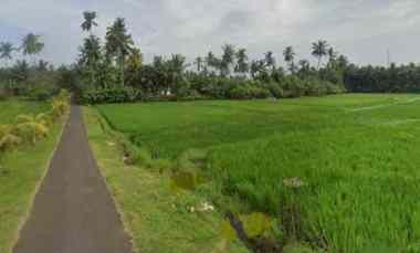 Tanah Sawah Harga Murah dekat Pantai dan Exit Toll Pekutatan Bali