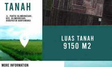 Tanah Dijual di Jl. Pantai Blimbingsari, Dusun Tegalwero, Desa Blimbingsari, Kec, Blimbingsari