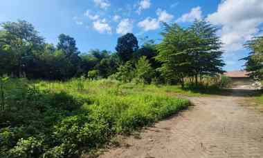 Cocok Investasi Tanah Dijual