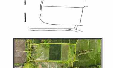 Cocok untuk Villa Tanah Kemenuh Sukawati Gianyar Bali