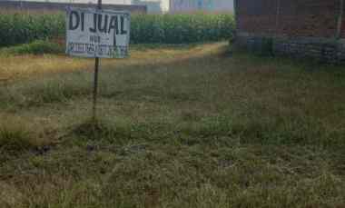 Tanah Dijual di Jl. Perjuangan Brangkal Sooko Mojokerto
