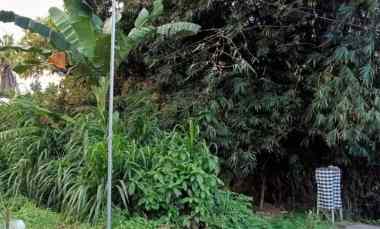 Dijual 1,59 are, jl. Subak Belaki Celuk Sukawati Gianyar