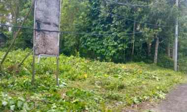 Tanah Dijual di Alas Kedaton