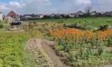 Dijual 79,01 are, jl. Astasura VI Nangka Utara Denpasar